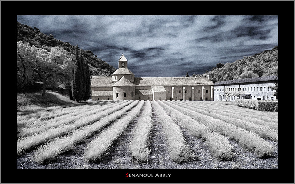 Abdij Notre-Dame de Sénanque